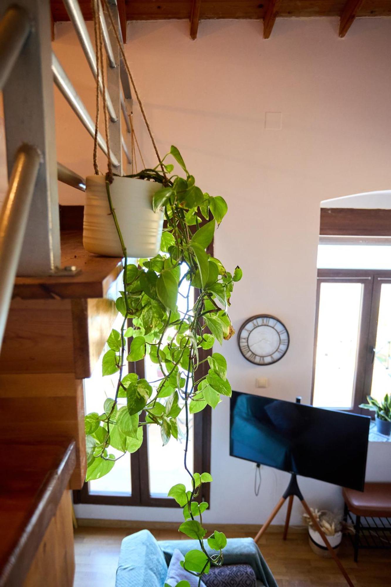 Windmills Apartments Chios Quios Exterior foto